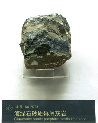 ����ʯʯӢ������м����