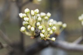 �������ŵĻ��Ƕ�