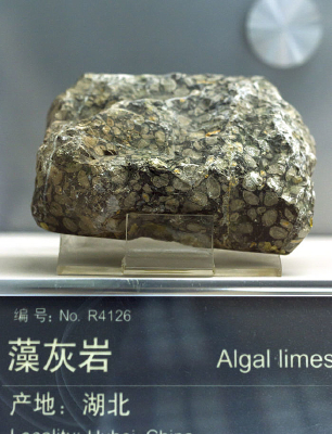 ��������ұ걾