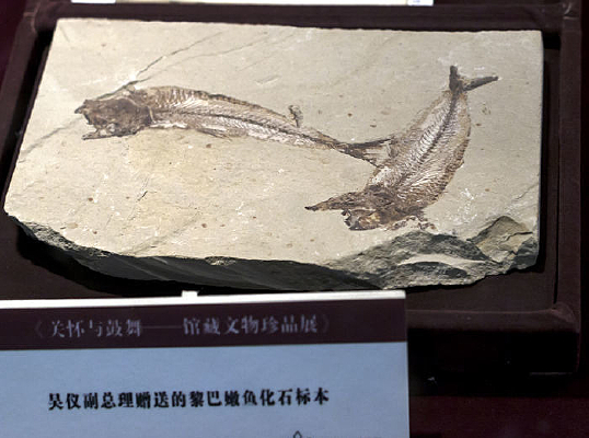 ������㻯ʯ�걾