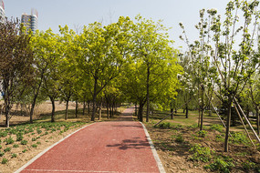 �ּ��ܽ��ܵ�