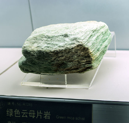 ��ɫ��ĸƬ�ұ걾