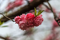 �������һ�