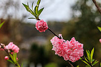 ����������һ�