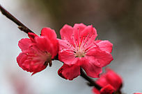 �������һ�����