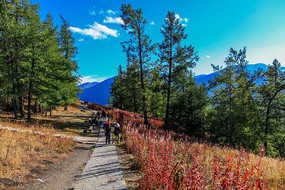 ����Ŀ���˹�����