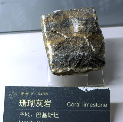 ɺ�����ұ걾