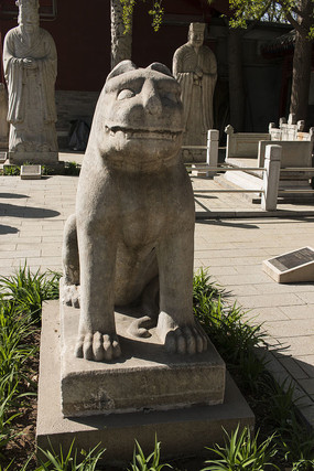 ʯ������