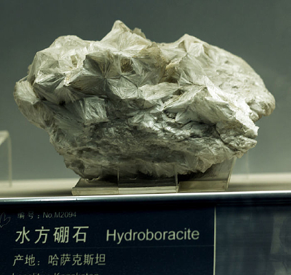 ˮ����ʯ�걾