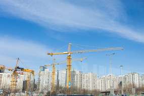 ������¥