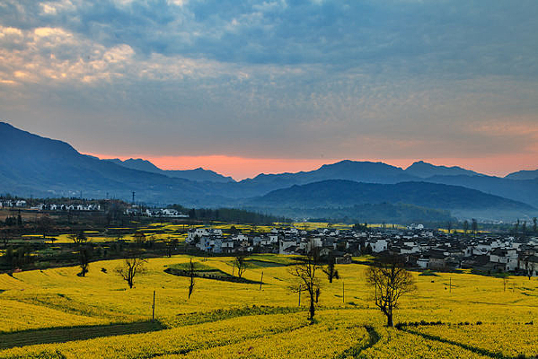 ��ߵ�һĨ��ϼ