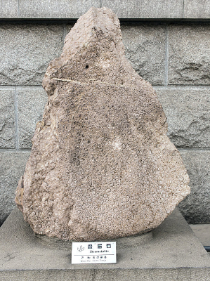 ��������ʯ�걾