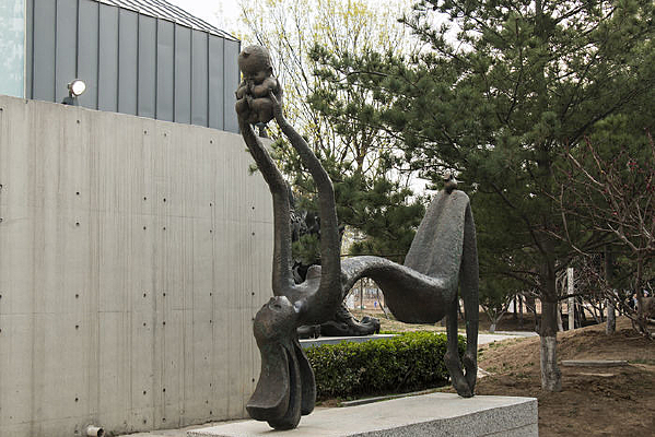 ��ɫ����