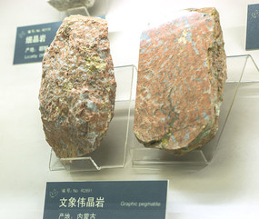 �����ұ걾