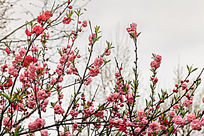 ϲӭ������һ�