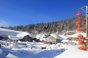 ѩ����Ȼ����