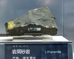 ��м���ұ걾