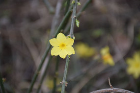 һ������