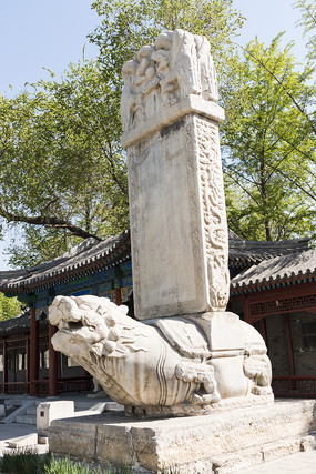 ���ƹ�������ʯ����