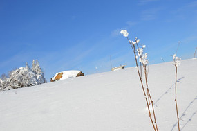 �й�ѩ�羰��