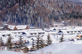 �й�ѩ����Ӱ