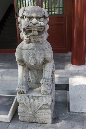 ��ʨ����