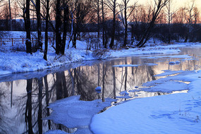 �����ı���