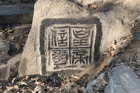 ����ӡ��