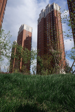 ��ƺ��ĸ߲�