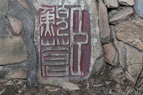 ����ӡ��