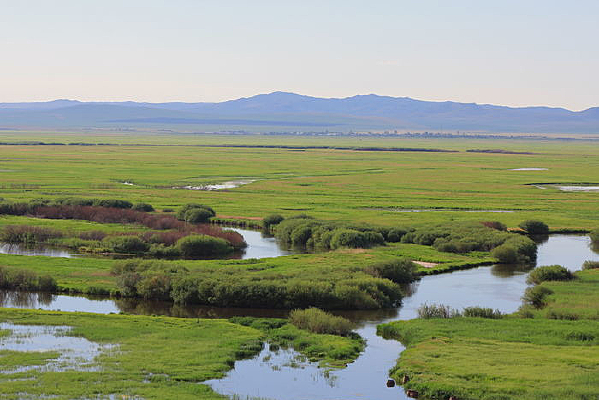 �������ʪ�ط��