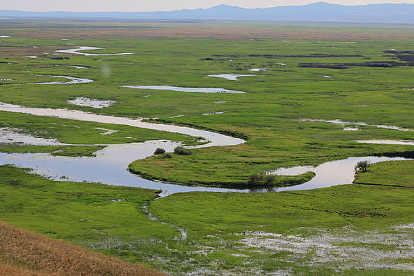 �������ʪ�ط羰