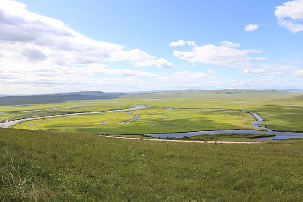 �������ʪ�ؾ���