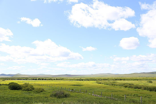 �������ʪ�ؾ���