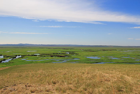 �������ʪ�ؾ���