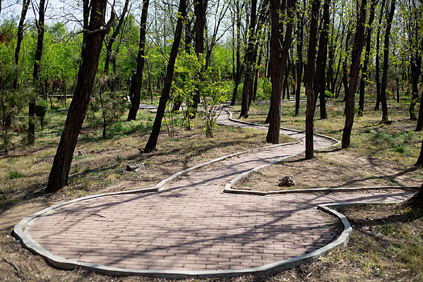 ��԰�е����г���