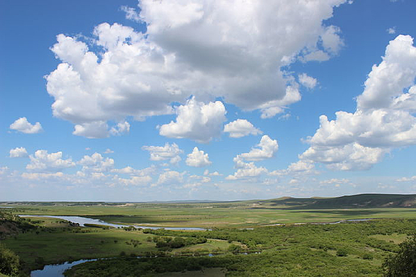 ����������