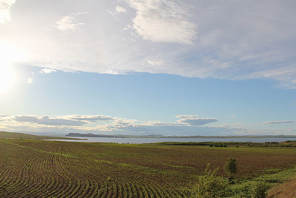 ���ױ������