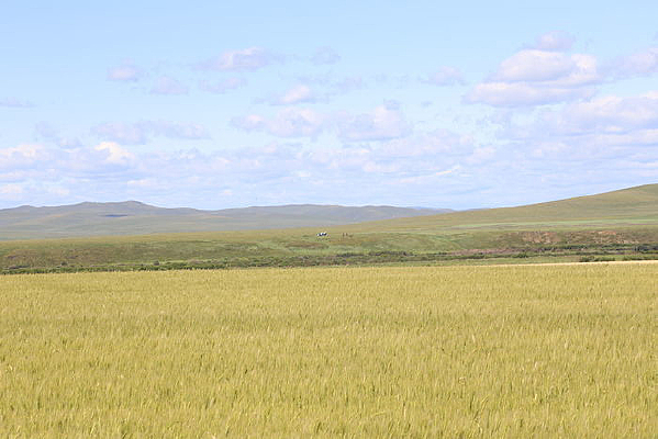 ���ױ�����԰���