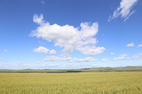 ���ױ�����԰�羰