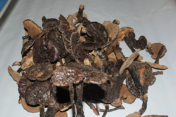 ��֥����