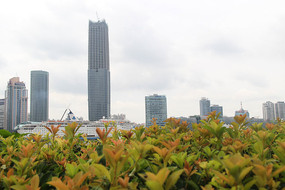 �����ֽ�