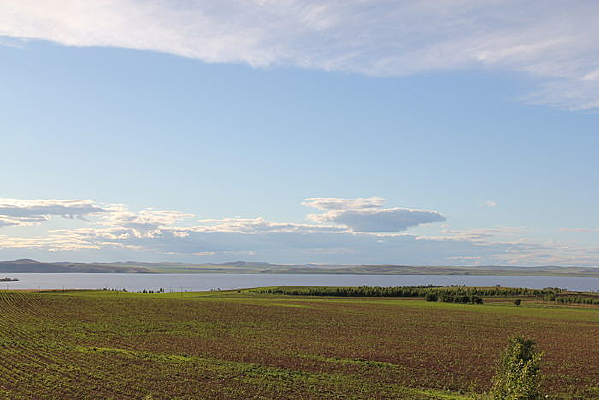 ���ɹŷ���