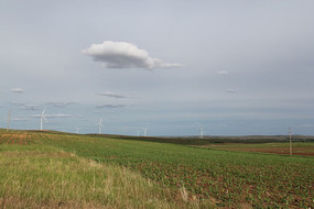 ���ɹž���