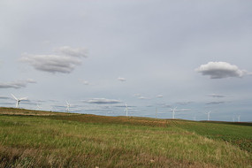 ���ɹž���