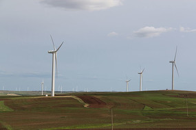 ���ɹ�����