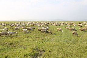 ���ɹ���Ⱥ�羰