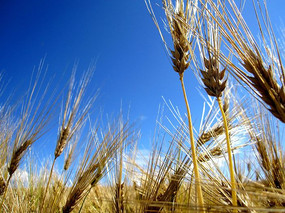 ���յ�����