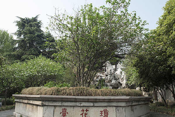 ���������۵�����̨