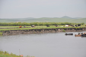 ����ʪ�ط��